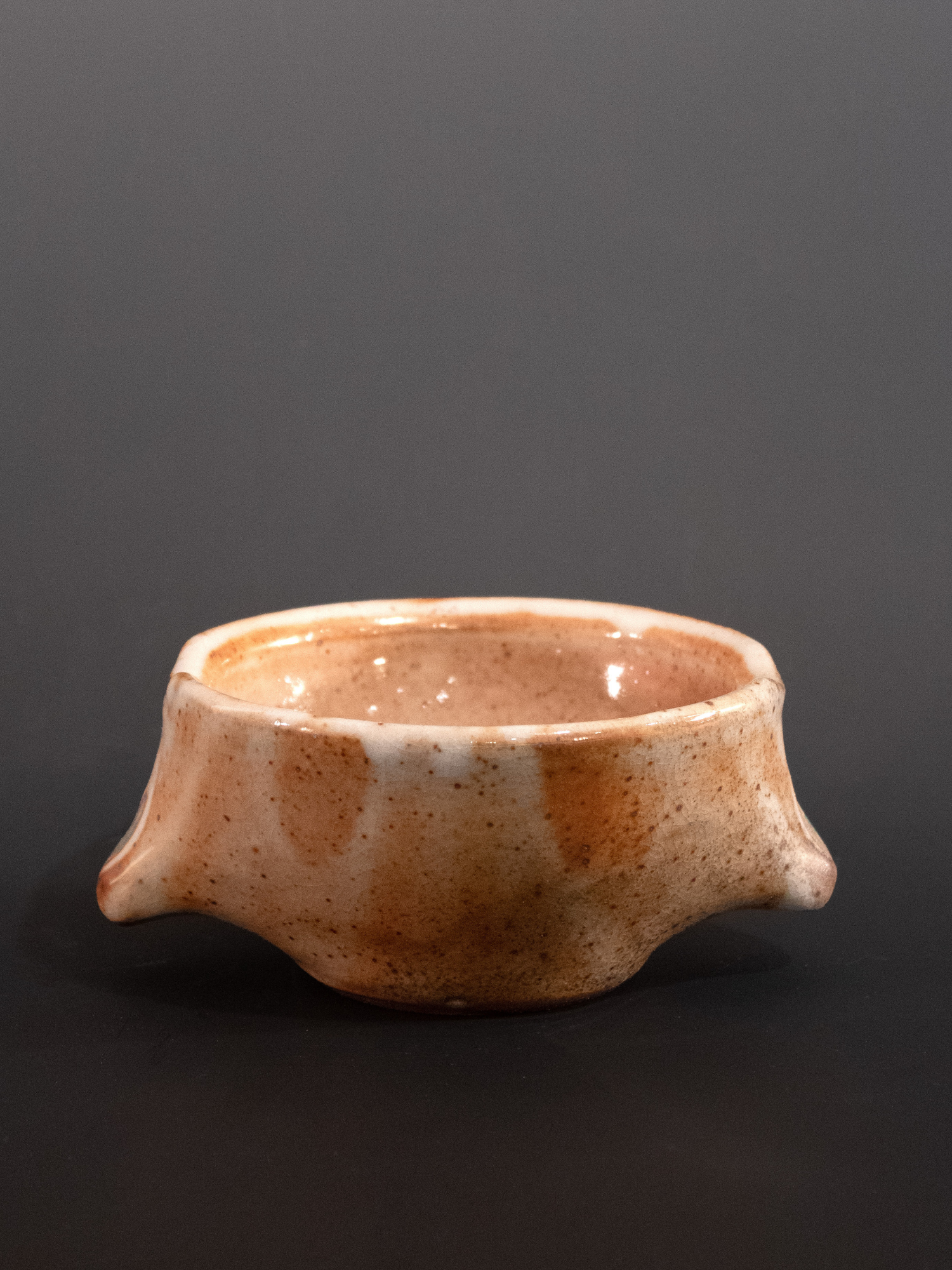 Ceramic bowl with a speckled brown design on a dark background