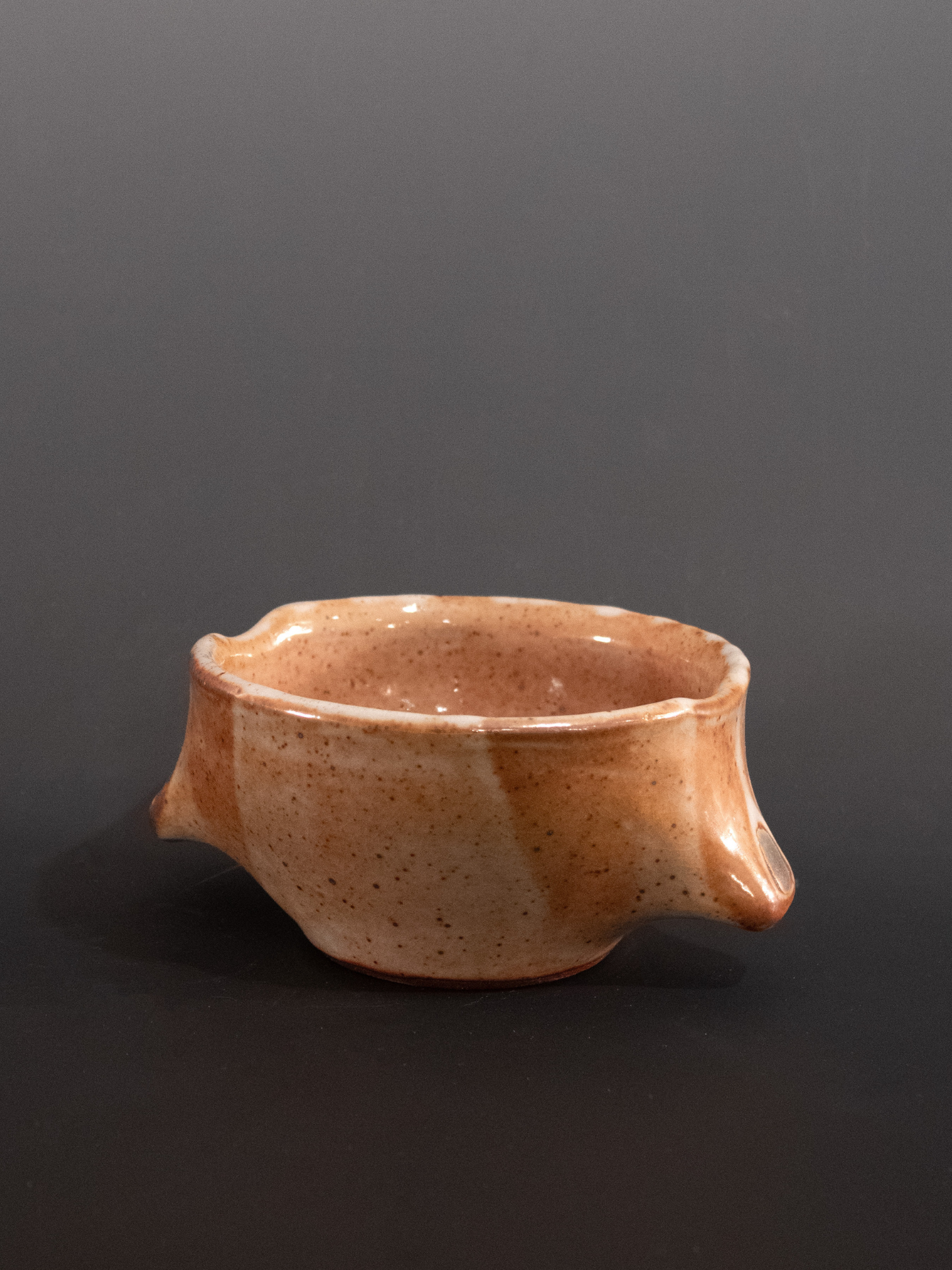 Ceramic bowl with a speckled brown design on a dark background